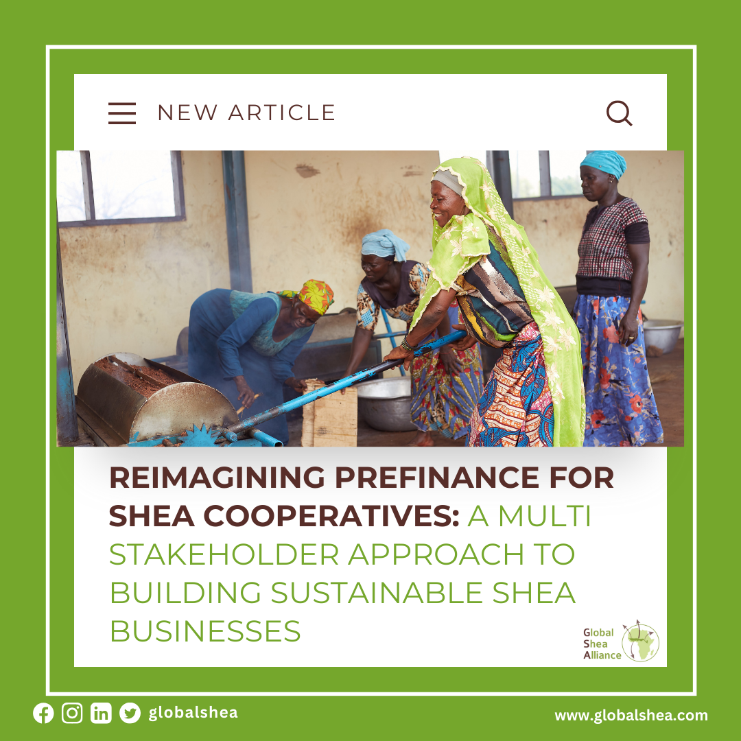 A Multi stakeholder Approach to Building Sustainable Shea Businesses